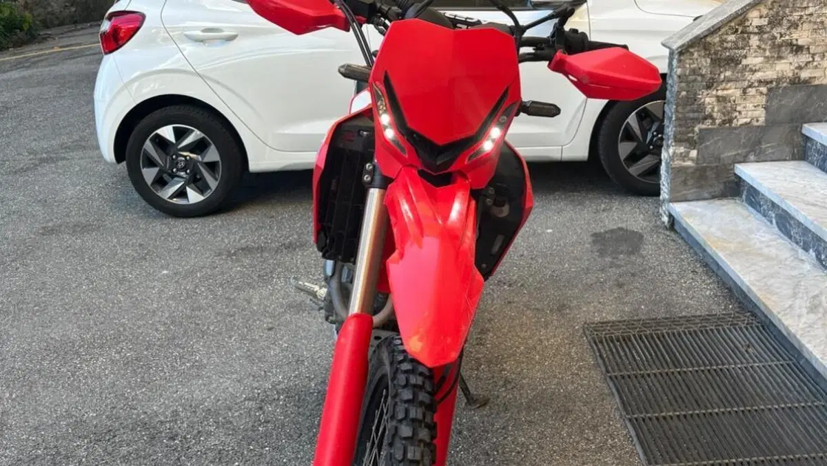 Honda CRF 300L (2021 - 24)  (3)
