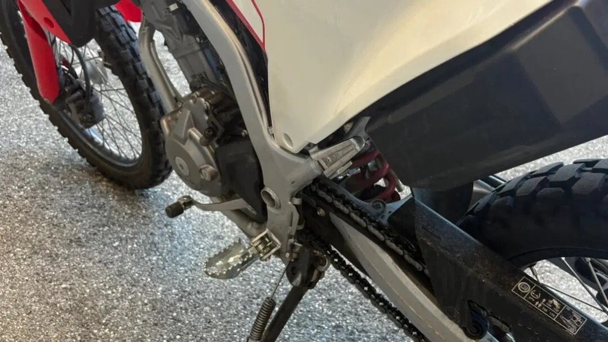 Honda CRF 300L (2021 - 24)  (9)