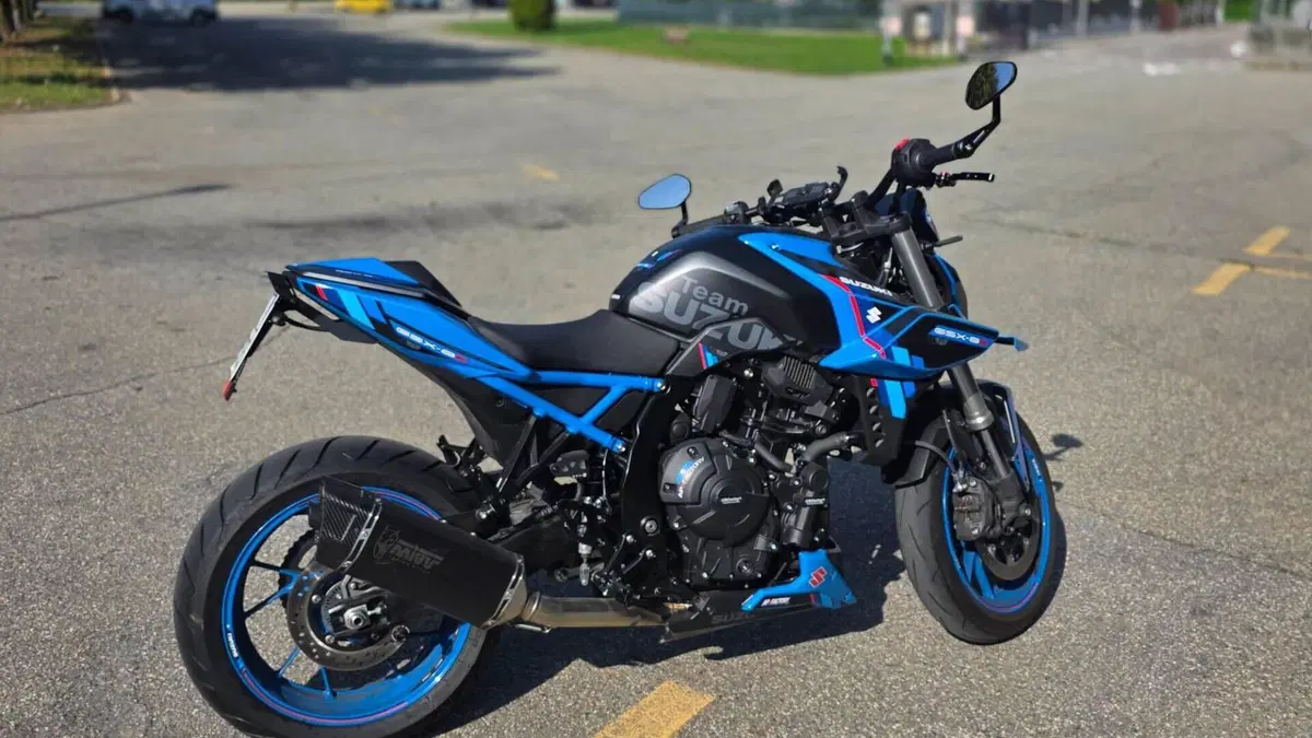 Suzuki GSX-8S Team Suzuki Edition (2024)  (4)