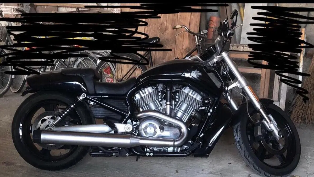 Harley-Davidson 1250 V-Rod Muscle (2009 - 17) - VRSCF  (4)