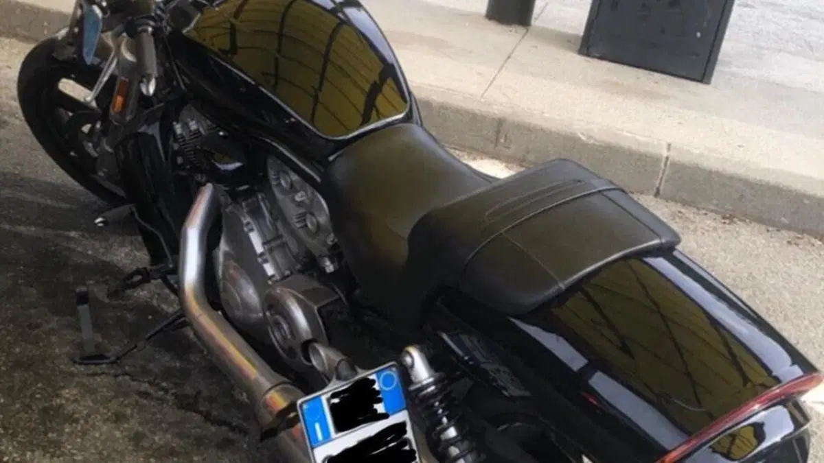 Harley-Davidson 1250 V-Rod Muscle (2009 - 17) - VRSCF  (15)