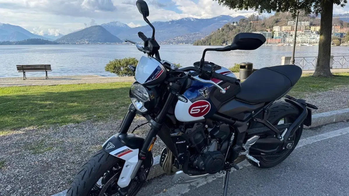 Triumph Trident 660 Triple Tribute Edition (2024)  (2)