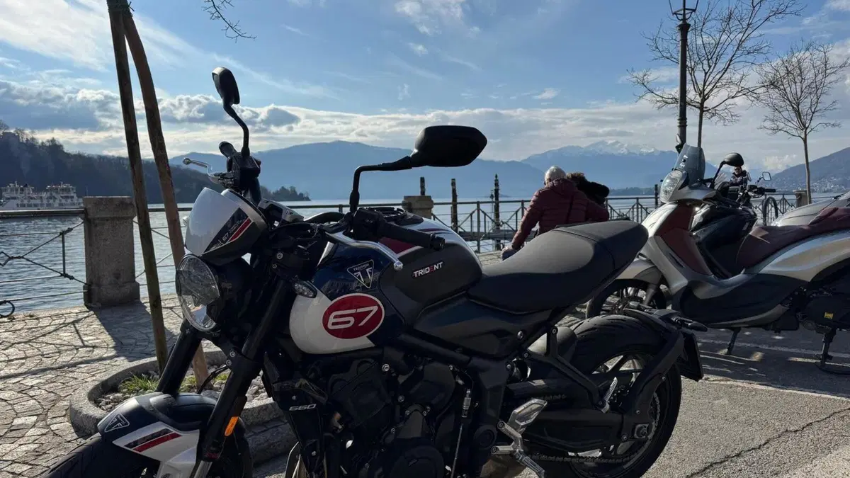 Triumph Trident 660 Triple Tribute Edition (2024)  (3)