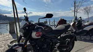 Triumph Trident 660 Triple Tribute Edition (2024)  (3)