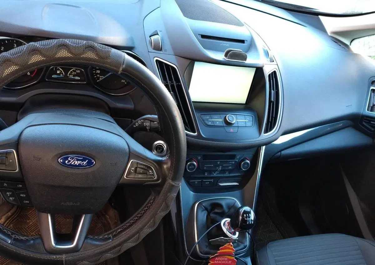 Ford C-Max 1.5 TDCi 120CV Powershift Start&Stop Titanium (5)