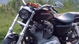 Harley-Davidson 883 Low (2005) - XL 883L 
