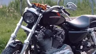 Harley-Davidson 883 Low (2005) - XL 883L usata