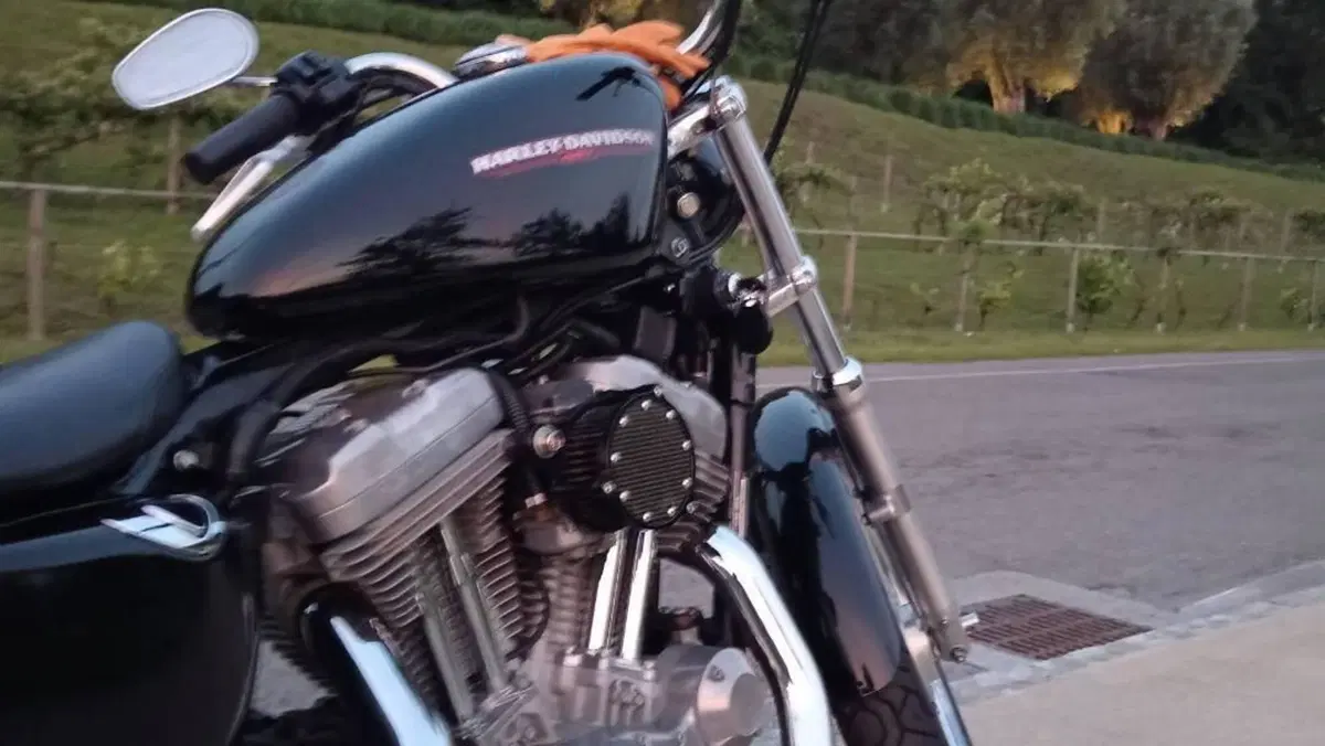 Harley-Davidson 883 Low (2005) - XL 883L  (2)