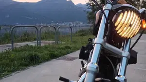 Harley-Davidson 883 Low (2005) - XL 883L  (3)