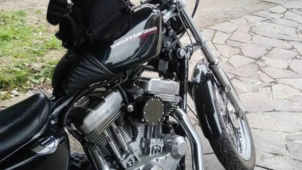 Harley-Davidson 883 Low (2005) - XL 883L  (4)
