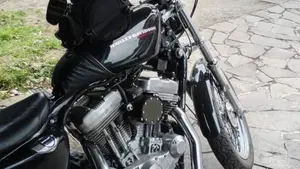Harley-Davidson 883 Low (2005) - XL 883L  (4)