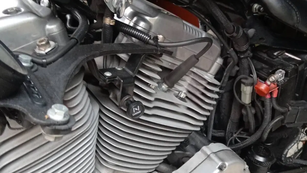 Harley-Davidson 883 Low (2005) - XL 883L  (5)