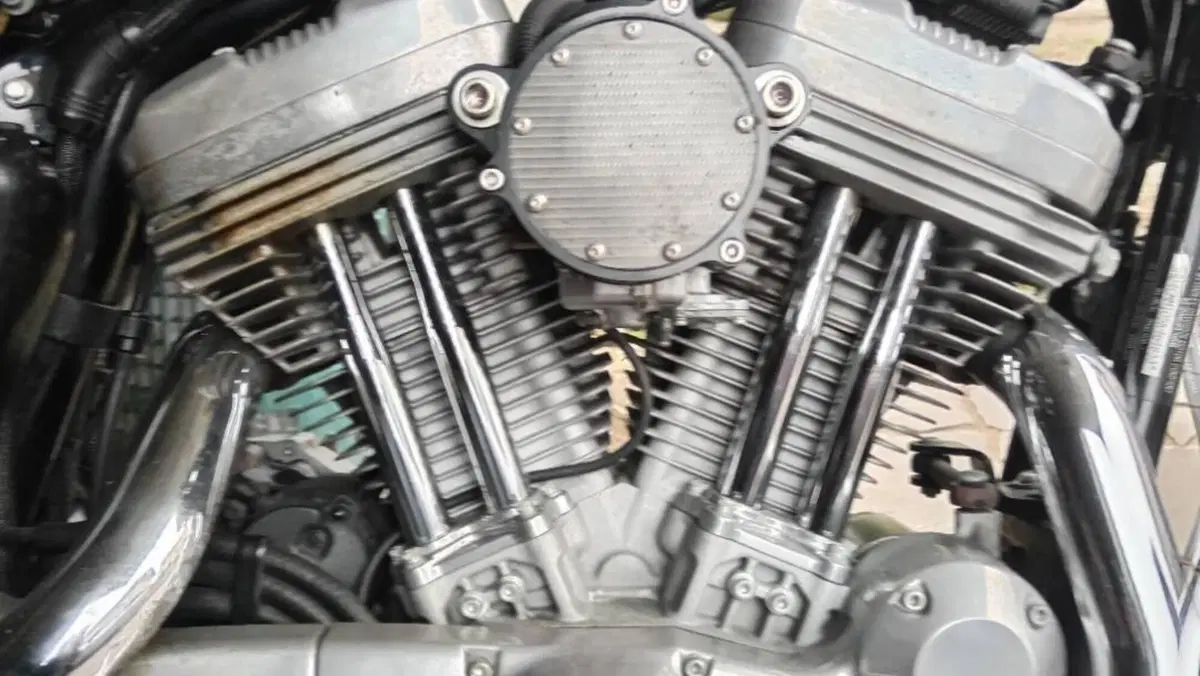 Harley-Davidson 883 Low (2005) - XL 883L  (6)