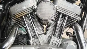Harley-Davidson 883 Low (2005) - XL 883L  (6)