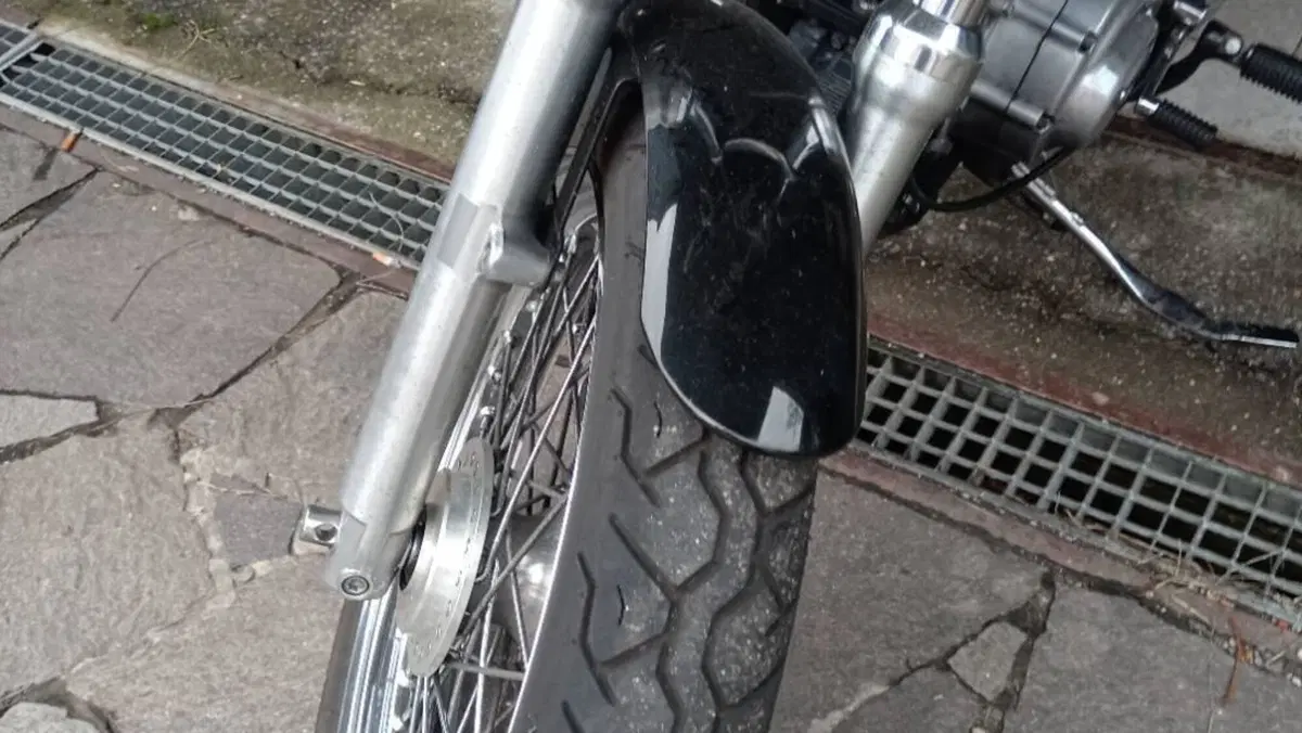 Harley-Davidson 883 Low (2005) - XL 883L  (8)