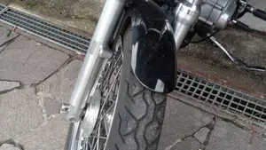 Harley-Davidson 883 Low (2005) - XL 883L  (8)