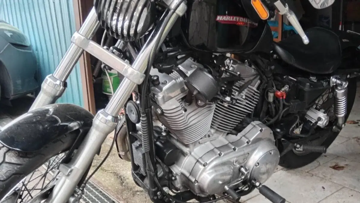 Harley-Davidson 883 Low (2005) - XL 883L  (9)