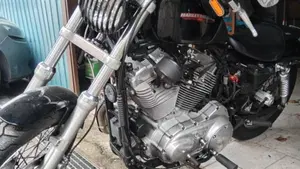 Harley-Davidson 883 Low (2005) - XL 883L  (9)