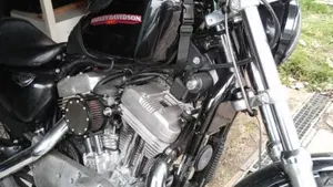 Harley-Davidson 883 Low (2005) - XL 883L  (10)