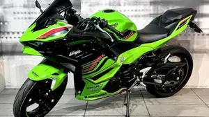 Kawasaki Ninja 500 SE (2024 - 26)  (3)
