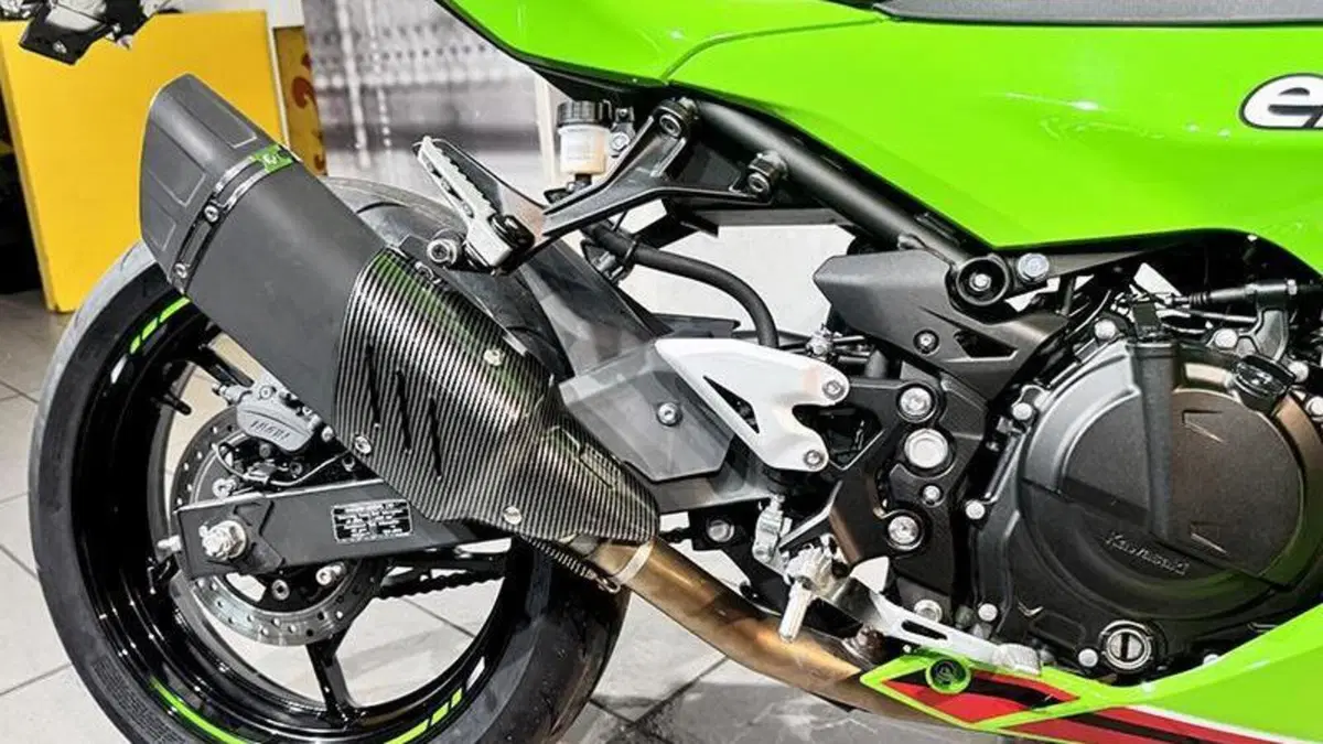 Kawasaki Ninja 500 SE (2024 - 26)  (5)