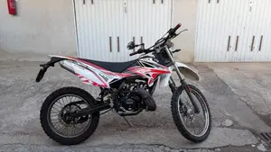 Betamotor RR 50 Enduro (2021 - 26)  (6)