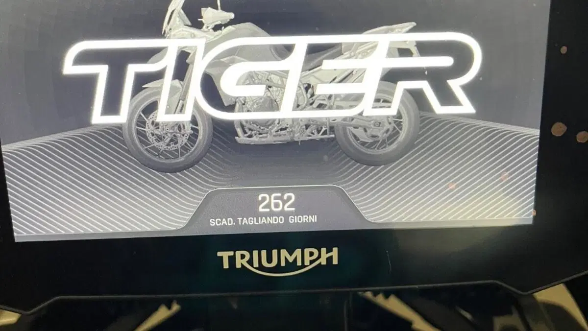 Triumph Tiger 900 GT Pro (2020 - 23)  (7)