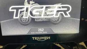 Triumph Tiger 900 GT Pro (2020 - 23)  (7)