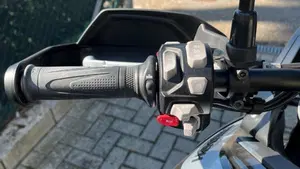 Triumph Tiger 900 GT Pro (2020 - 23)  (8)