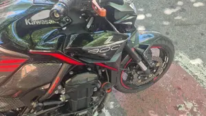 Kawasaki Z 900 (2021 - 24)  (6)