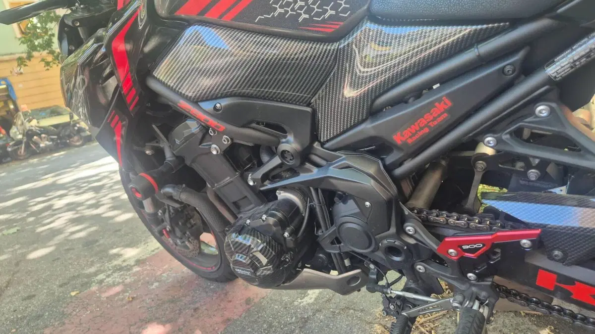 Kawasaki Z 900 (2021 - 24)  (8)
