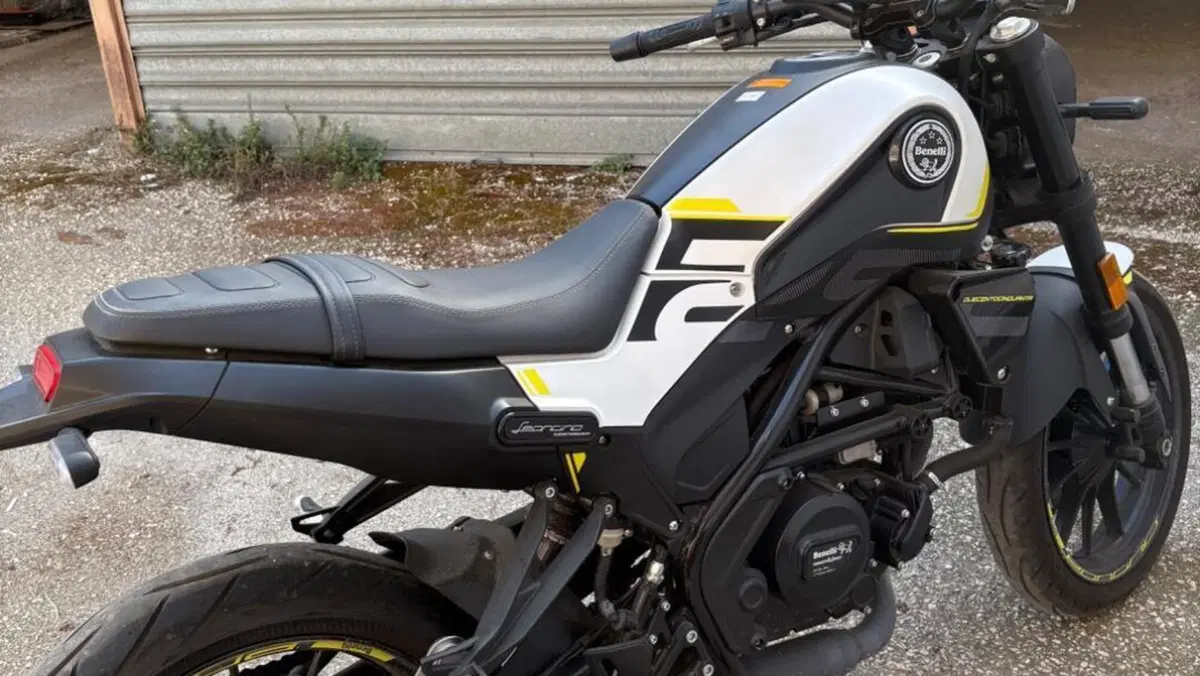 Benelli Leoncino 250 (2021 - 25)  (2)