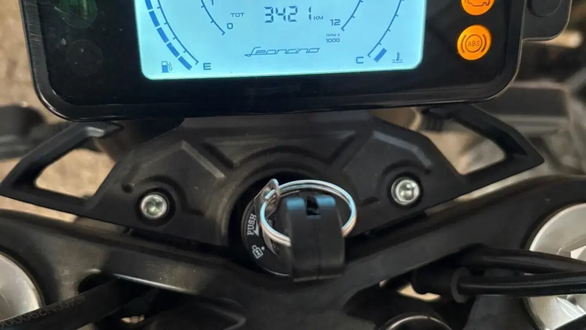Benelli Leoncino 250 (2021 - 25)  (6)