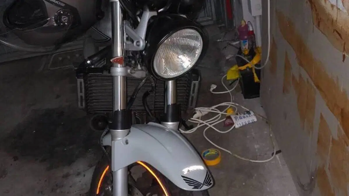 Honda Hornet 900  (8)
