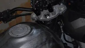 Honda Hornet 900  (9)