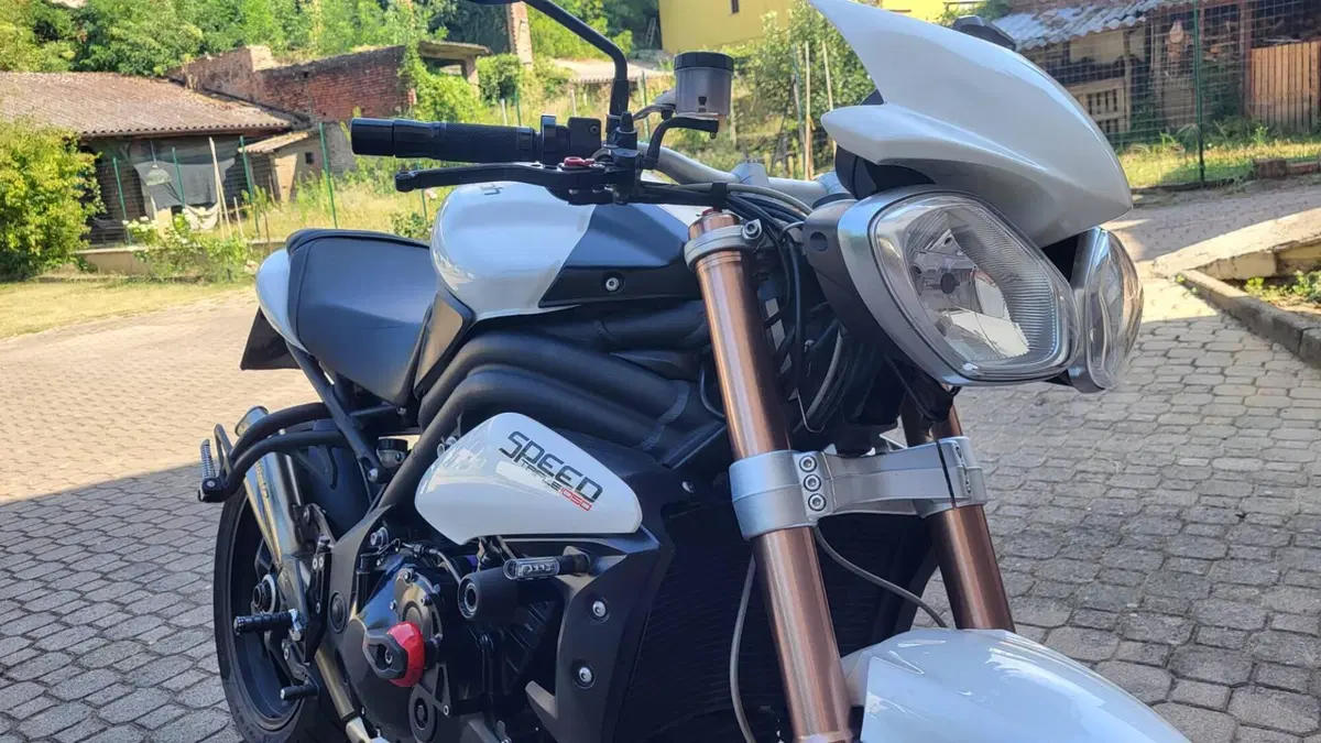 Triumph Speed Triple 1050 (2011 - 13)  (2)