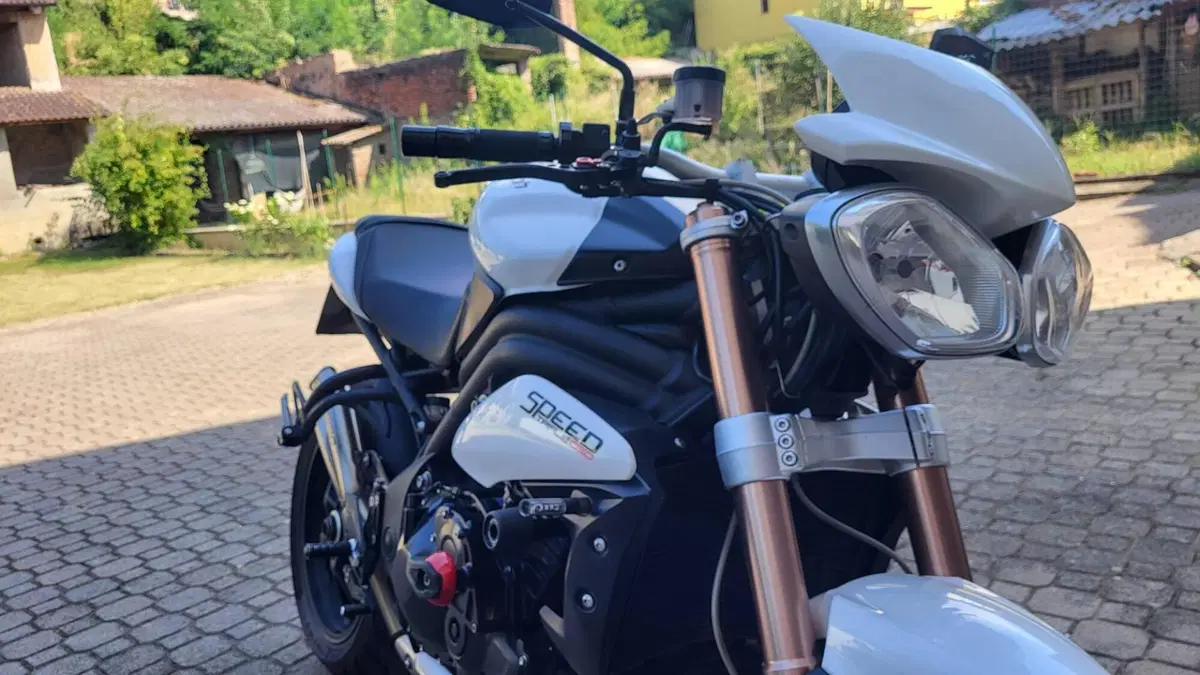 Triumph Speed Triple 1050 (2011 - 13)  (5)