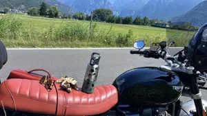 Triumph Speed Twin 1200 (2021 - 24)  (4)