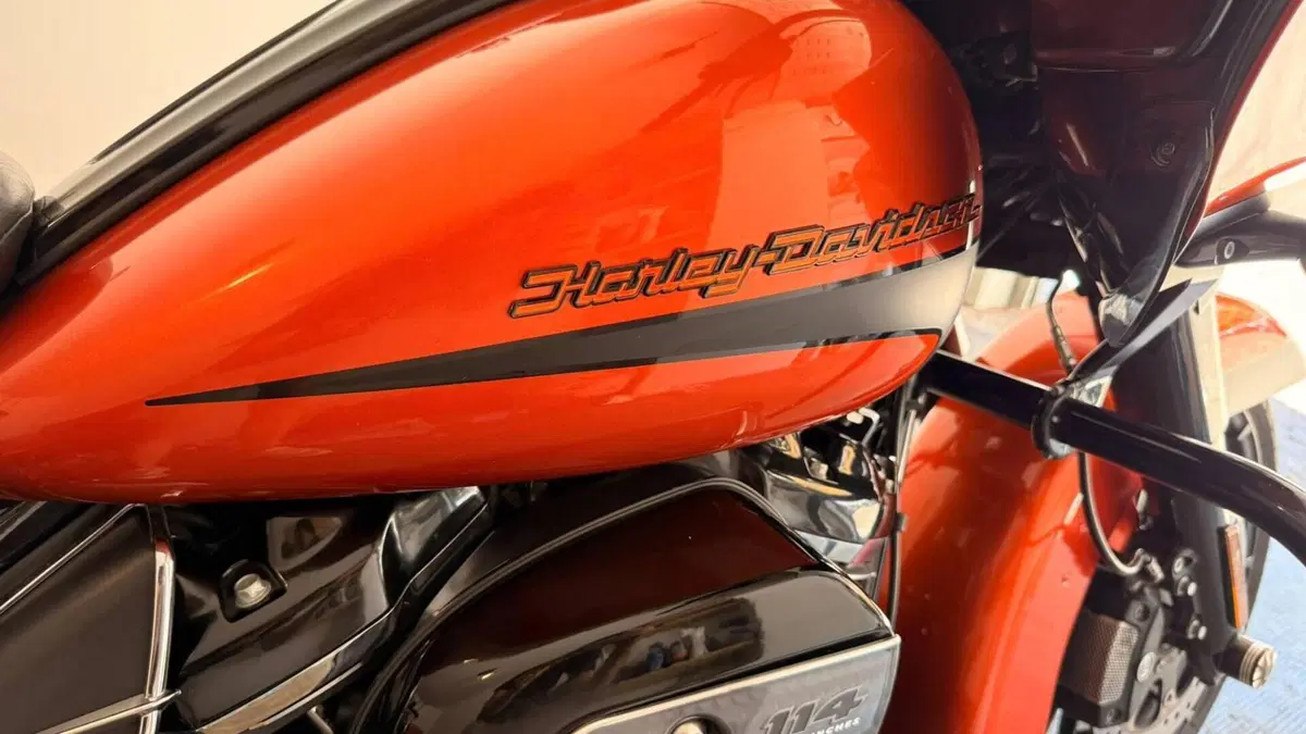 Harley-Davidson 114 Road King Special (2019 - 20) - FLHR  (14)