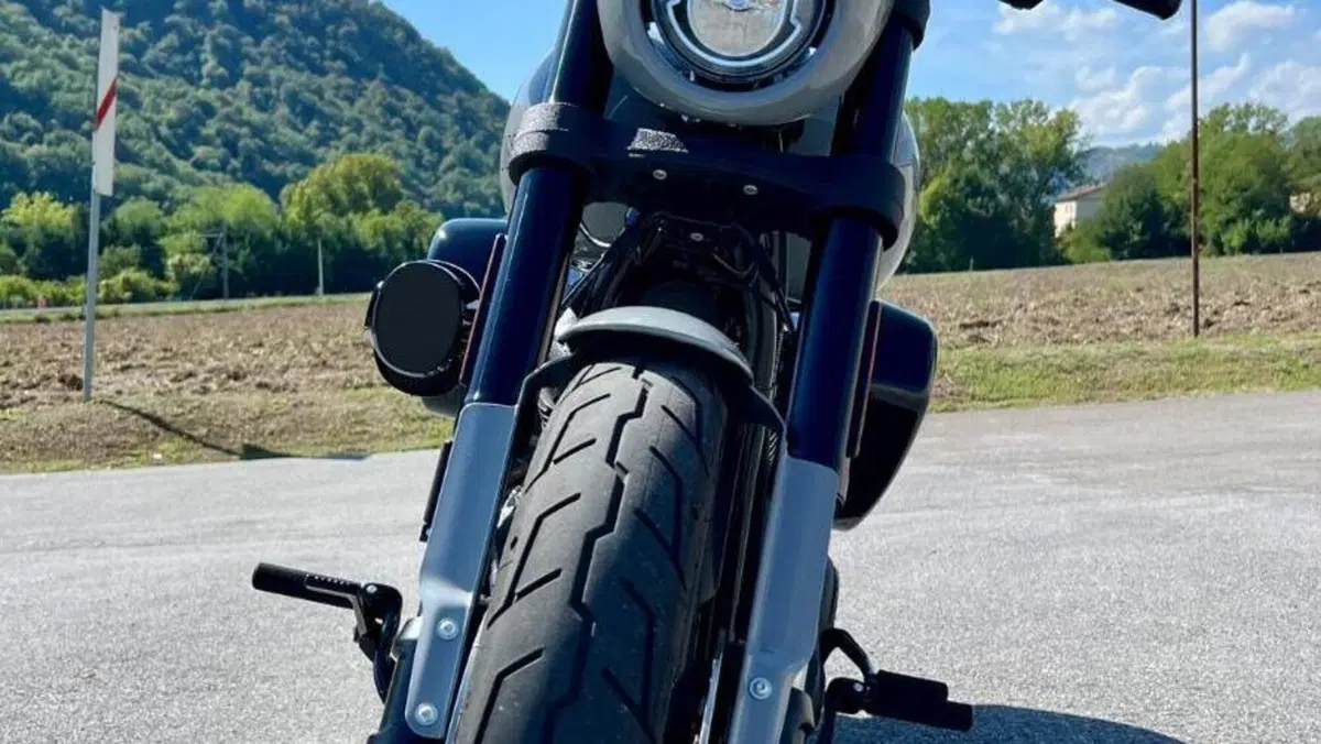 Harley-Davidson Low Rider S (2022 - 24)  (3)
