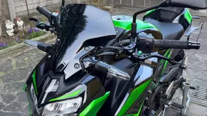 Kawasaki Z 900 (2021 - 24)  (5)