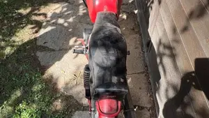 Moto Morini   (6)