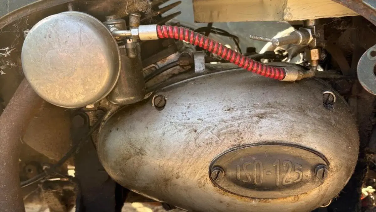 Isomoto   (4)