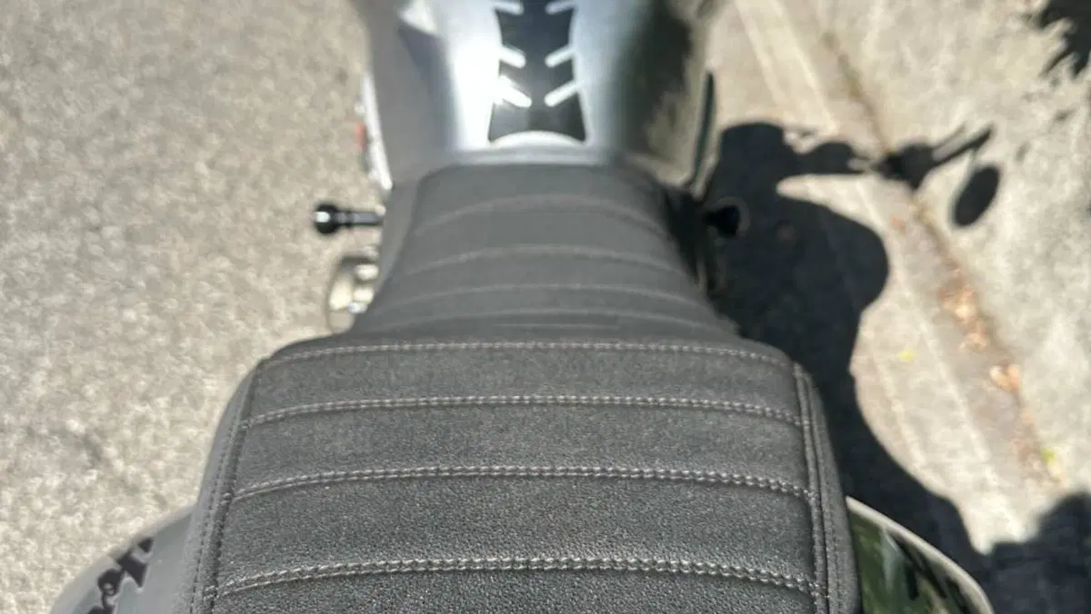Honda Hornet 900  (7)