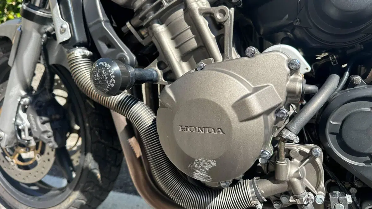 Honda Hornet 900  (9)