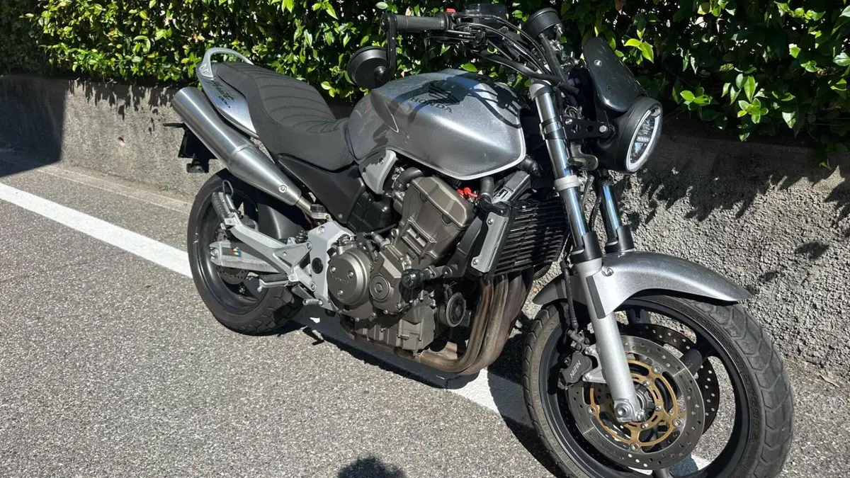 Honda Hornet 900  (14)