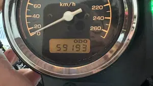 Honda Hornet 900  (15)