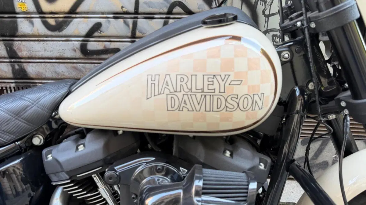 Harley-Davidson Low Rider S (2022 - 24)  (4)