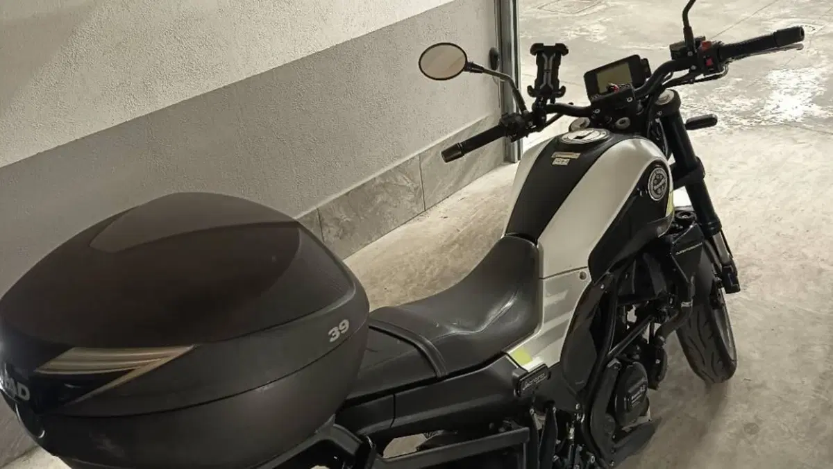 Benelli Leoncino 250 (2021 - 25)  (2)