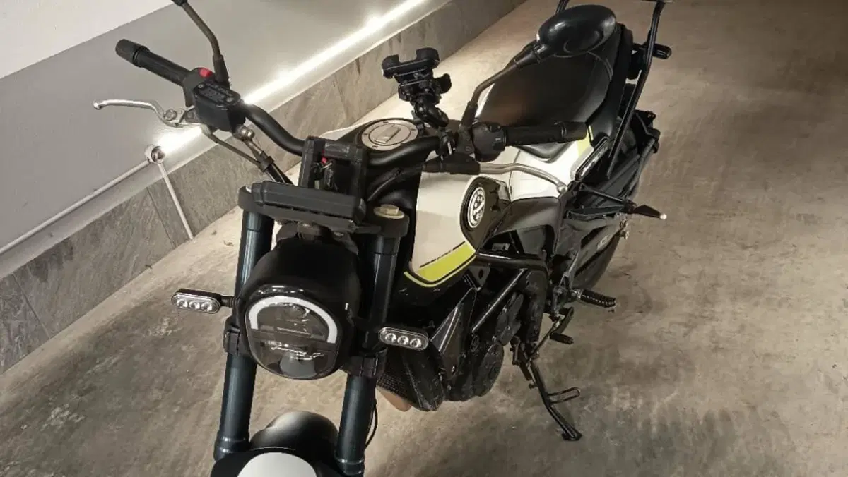 Benelli Leoncino 250 (2021 - 25)  (6)